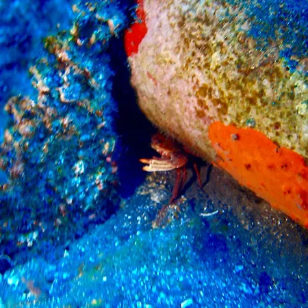 아파트 Cozy 코스타델실렌시오